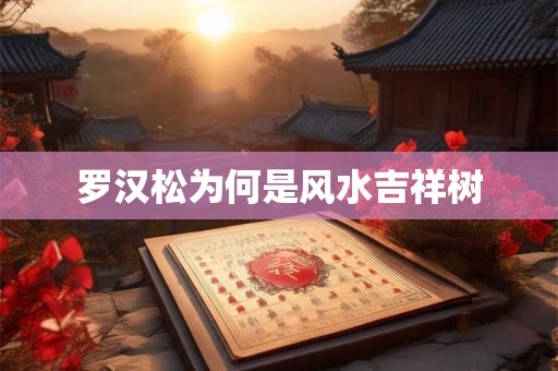 罗汉松为何是风水吉祥树