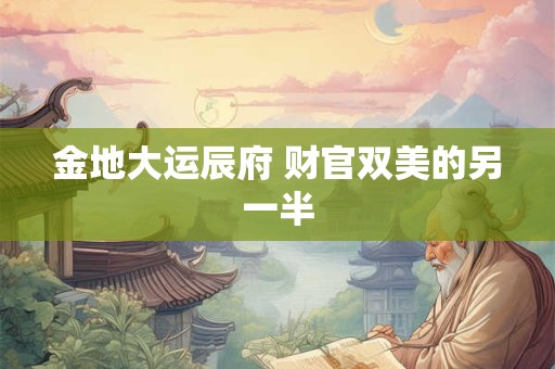 金地大运辰府 财官双美的另一半