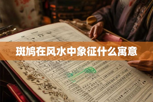 斑鸠在风水中象征什么寓意