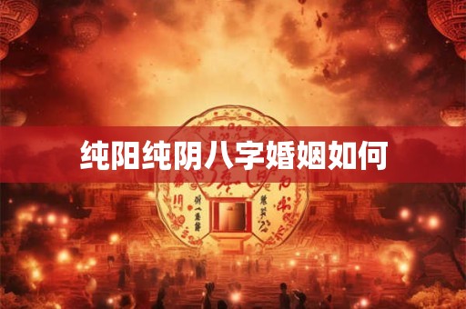 纯阳纯阴八字婚姻如何