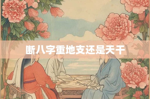 断八字重地支还是天干