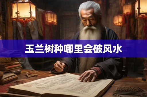 玉兰树种哪里会破风水