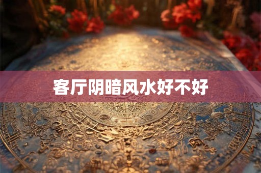 客厅阴暗风水好不好