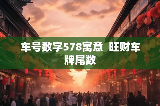 车号数字578寓意  旺财车牌尾数