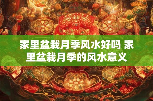 家里盆栽月季风水好吗 家里盆栽月季的风水意义