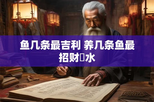 鱼几条最吉利 养几条鱼最招财風水