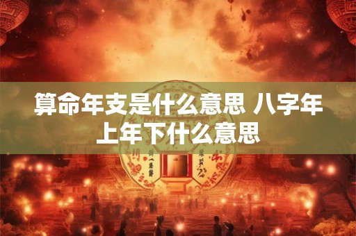 算命年支是什么意思 八字年上年下什么意思