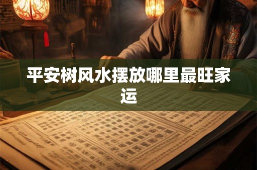 平安树风水摆放哪里最旺家运