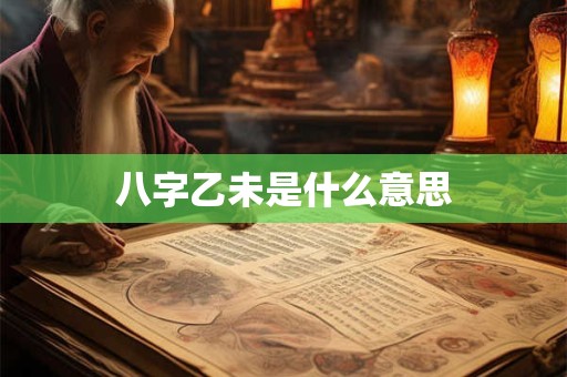 八字乙未是什么意思