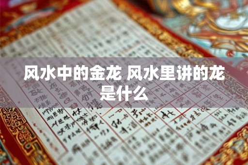 风水中的金龙 风水里讲的龙是什么