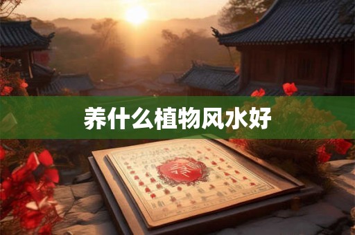 养什么植物风水好