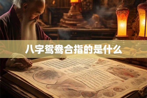 八字鸳鸯合指的是什么