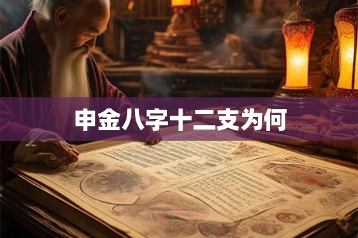 申金八字十二支为何