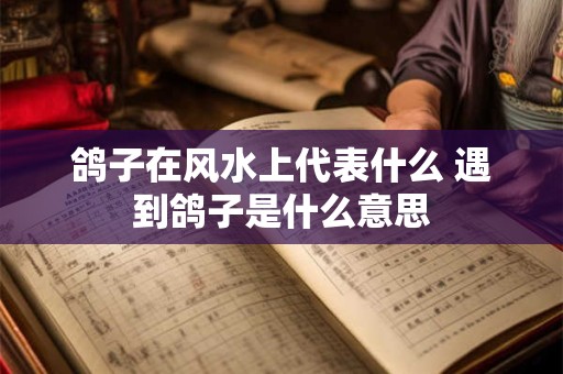 鸽子在风水上代表什么 遇到鸽子是什么意思