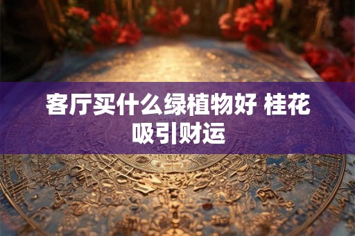 客厅买什么绿植物好 桂花吸引财运