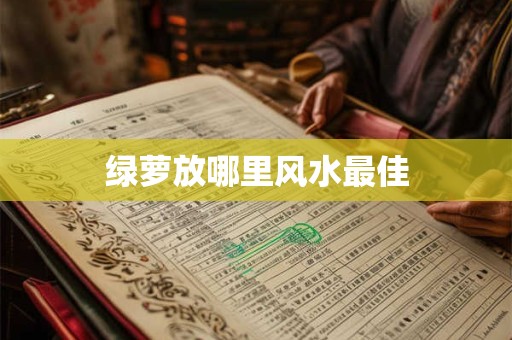 绿萝放哪里风水最佳