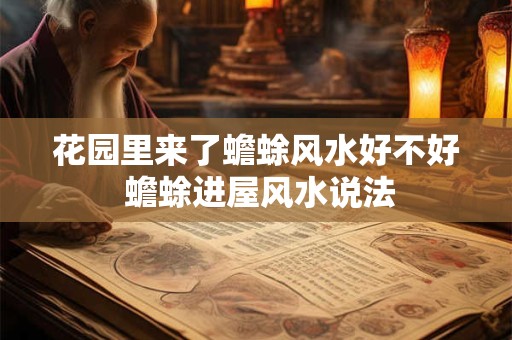 花园里来了蟾蜍风水好不好 蟾蜍进屋风水说法