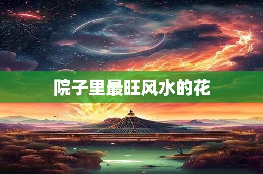 详细阅读:院子里最旺风水的花 院子里最旺风水的花