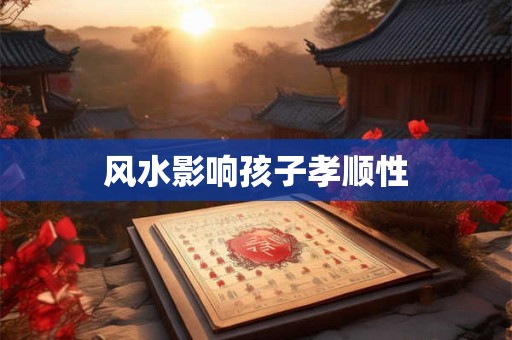 风水影响孩子孝顺性