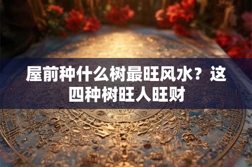 屋前种什么树最旺风水？这四种树旺人旺财