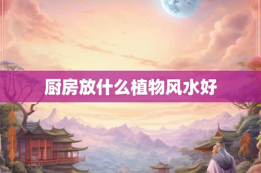 厨房放什么植物风水好