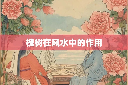 槐树在风水中的作用