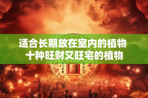 详细阅读:适合长期放在室内的植物 十种旺财又旺宅的植物 适合长期放在室内的植物 十种旺财又旺宅的植物
