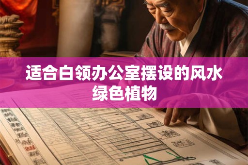 适合白领办公室摆设的风水绿色植物