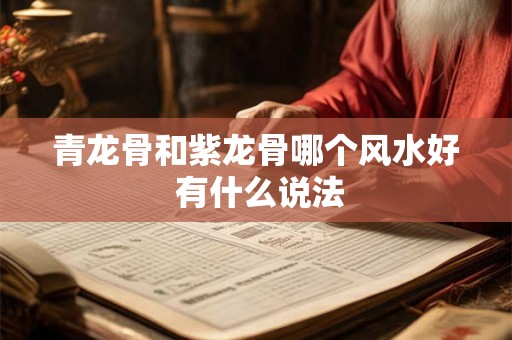 青龙骨和紫龙骨哪个风水好 有什么说法