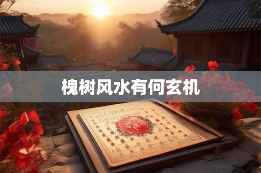 槐树风水有何玄机