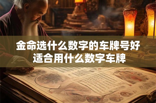 金命选什么数字的车牌号好 适合用什么数字车牌