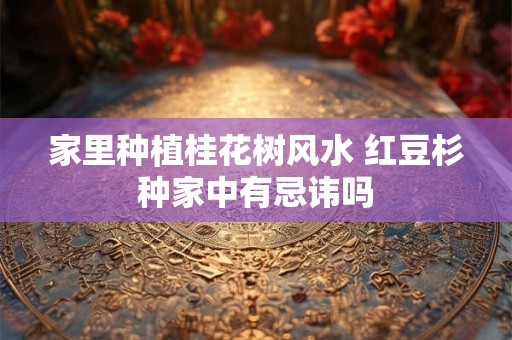 家里种植桂花树风水 红豆杉种家中有忌讳吗
