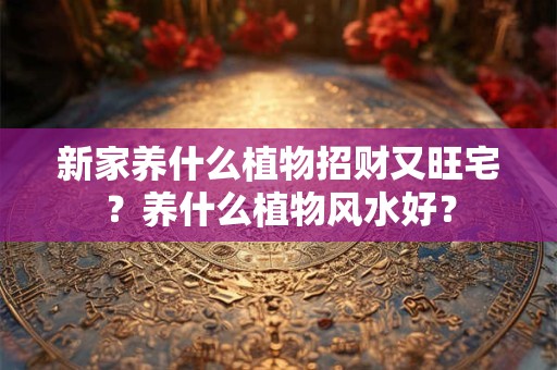 新家养什么植物招财又旺宅？养什么植物风水好？