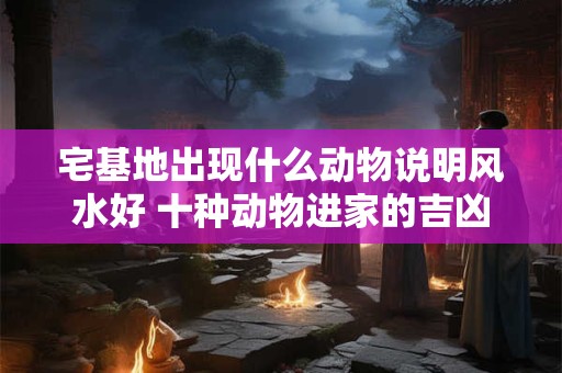 宅基地出现什么动物说明风水好 十种动物进家的吉凶