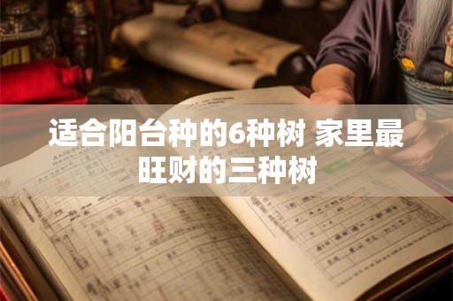 适合阳台种的6种树 家里最旺财的三种树