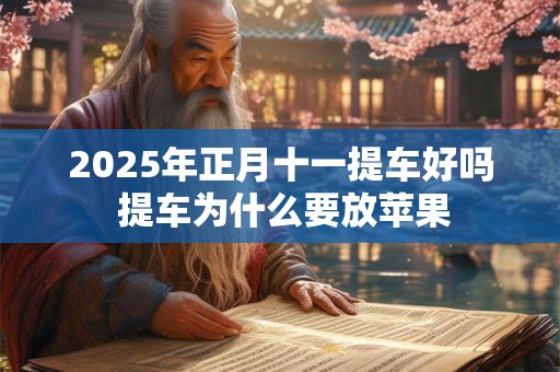 2025年正月十一提车好吗 提车为什么要放苹果