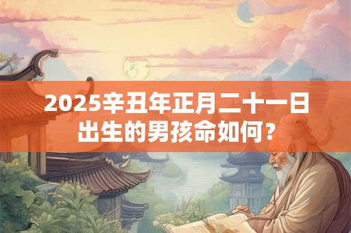 2025辛丑年正月二十一日出生的男孩命如何？