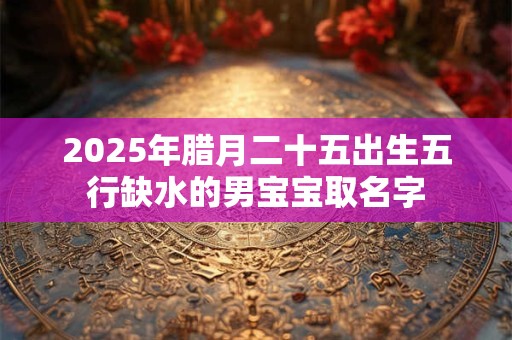 2025年腊月二十五出生五行缺水的男宝宝取名字