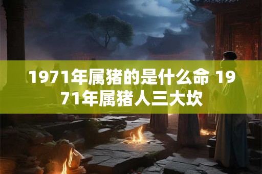 1971年属猪的是什么命 1971年属猪人三大坎