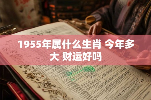 1955年属什么生肖 今年多大 财运好吗