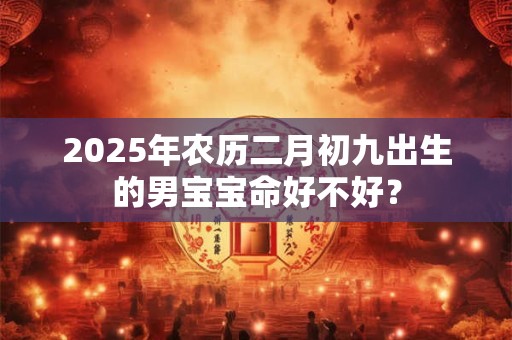 2025年农历二月初九出生的男宝宝命好不好？