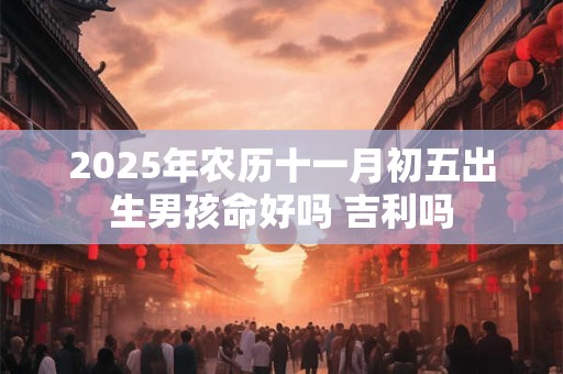 2025年农历十一月初五出生男孩命好吗 吉利吗