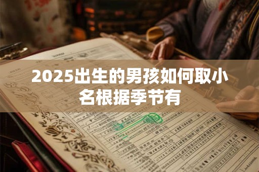 2025出生的男孩如何取小名根据季节有