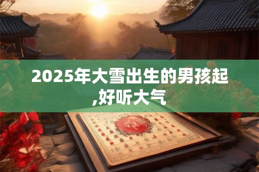2025年大雪出生的男孩起,好听大气