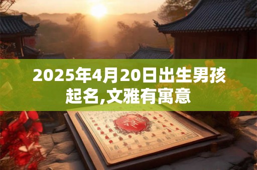 2025年4月20日出生男孩起名,文雅有寓意
