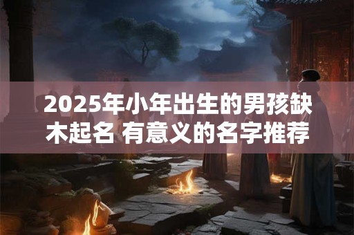 2025年小年出生的男孩缺木起名 有意义的名字推荐
