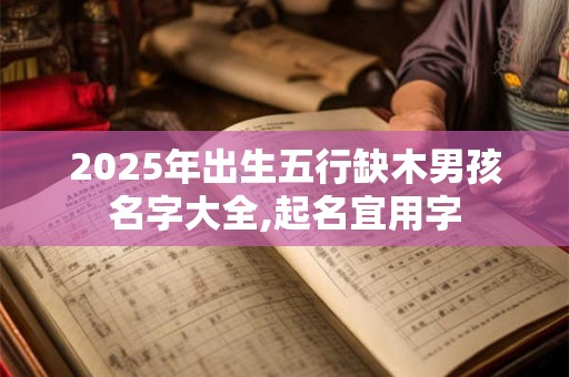2025年出生五行缺木男孩名字大全,起名宜用字