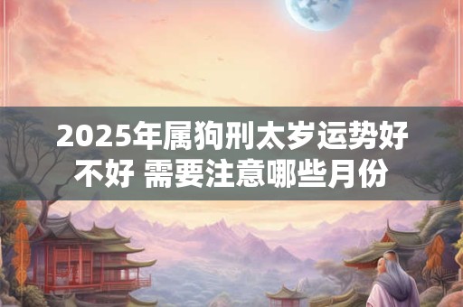 2025年属狗刑太岁运势好不好 需要注意哪些月份