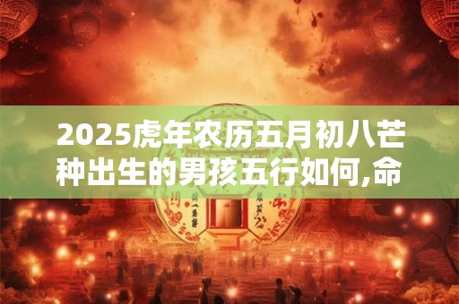 2025虎年农历五月初八芒种出生的男孩五行如何,命好不好？