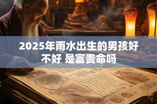 2025年雨水出生的男孩好不好 是富贵命吗